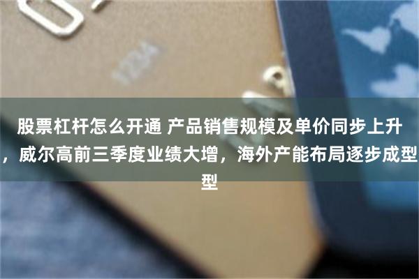 股票杠杆怎么开通 产品销售规模及单价同步上升，威尔高前三季度业绩大增，海外产能布局逐步成型